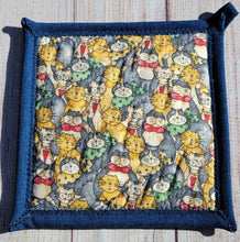 Load image into Gallery viewer, Pot Holders - Mixed Cats