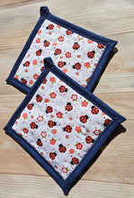 Load image into Gallery viewer, Pot Holders - Lady Bugs on White