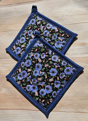 Pot Holders - Morning Glories