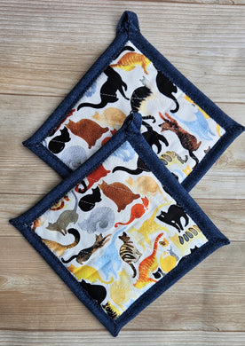 Pot Holders - Cats Colorful