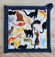 Load image into Gallery viewer, Pot Holders - Cats Colorful